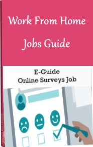 Work From Home Jobs Guide Online Surveys